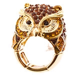 Owls & Other Birds